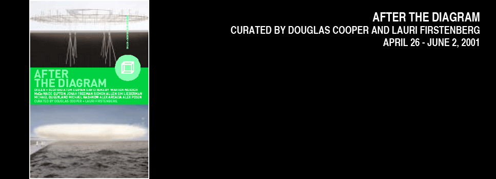 After the Diagram, Curated by Douglas Cooper and Lauri Firstenberg, White Box, 2001 (10)
