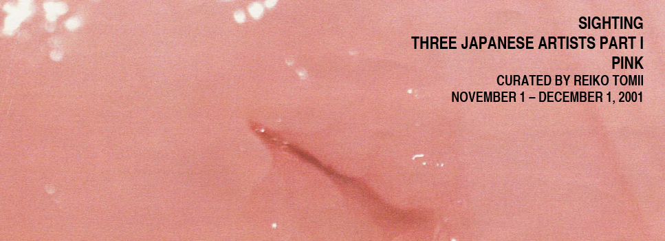 Sighting Three Japanese Artists Part I: Pink, Curated by Reiko Tomii, White Box, 2001