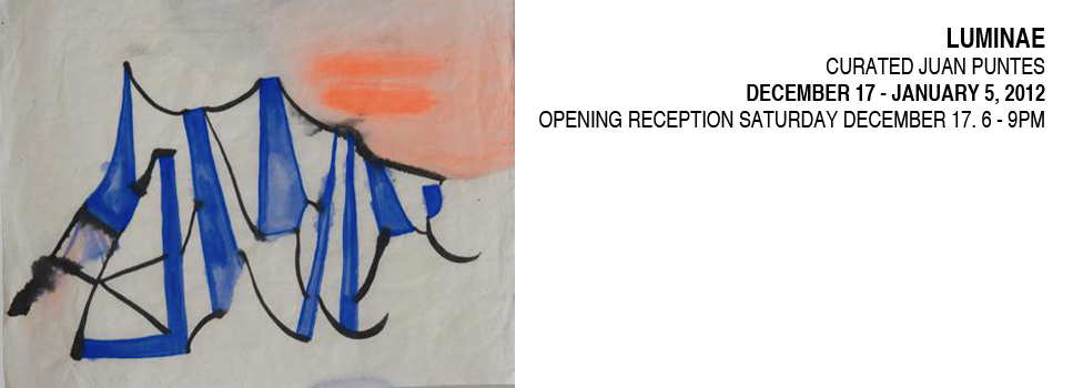 Luminae, Curated by Juan Puntes, White Box, 2011