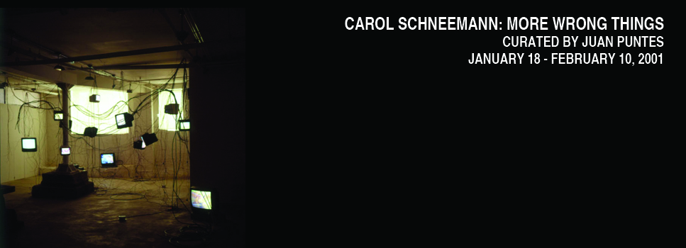 Carol Schneemann: More Wrong Things, Curated by Juan Puntes, White Box, 2001 (1)