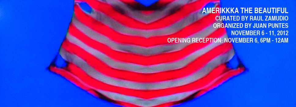 AmeriKKa the Beautiful, Curated by Raul Zamudio and Organized by Juan Puntes, White Box, 2012 (1)