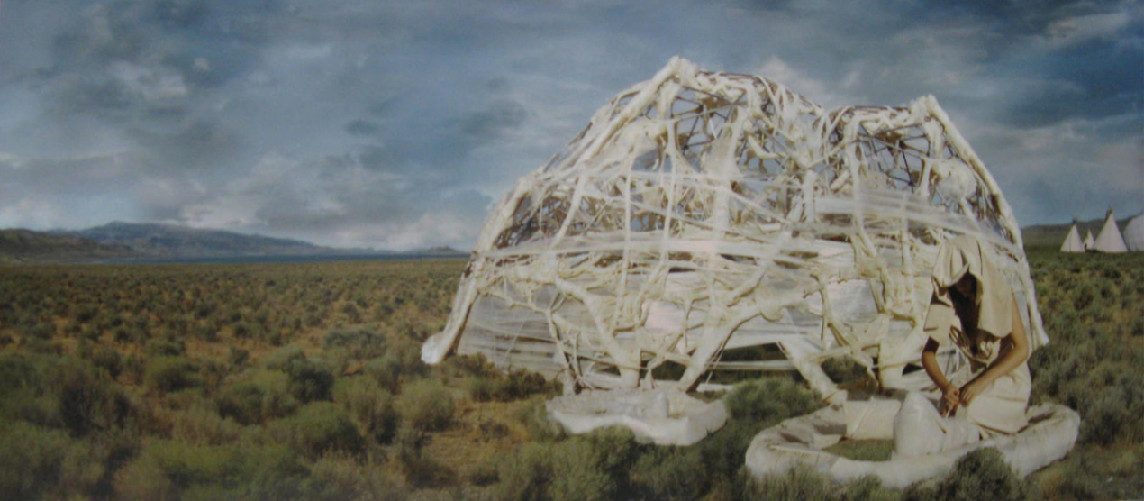 Mary Mattingly Photo